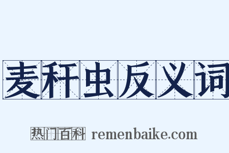 麦秆虫反义词是什么意思的图片